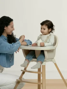 babyGap Otto 3’ü 1 Arada Mama Sandalyesi