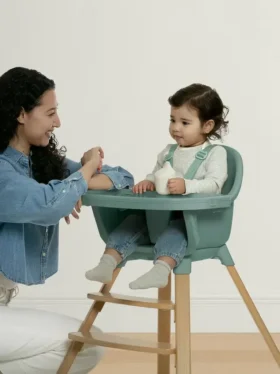 babyGap Otto 3’ü 1 Arada Mama Sandalyesi
