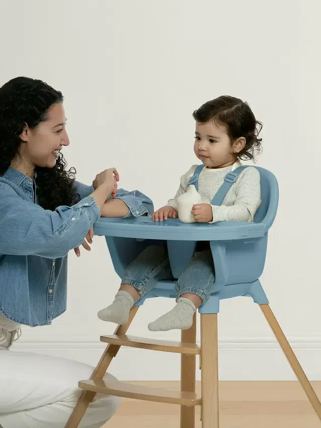 babyGap Otto 3'ü 1 Arada Mama Sandalyesi