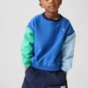 Bebek & Yürümeye Başlayan Çocuk Vintagesoft Renk Bloklu Sweatshirt