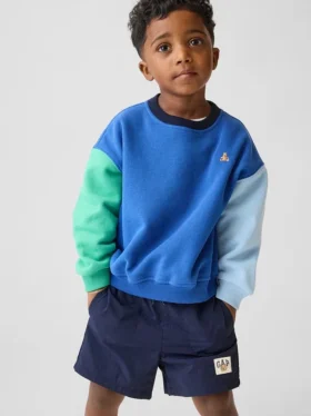 Bebek & Yürümeye Başlayan Çocuk Vintagesoft Renk Bloklu Sweatshirt