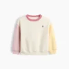 Bebek & Yürümeye Başlayan Çocuk Vintagesoft Renk Bloklu Sweatshirt