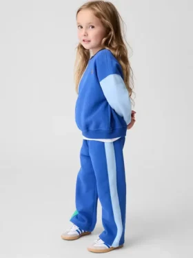 Bebek & Yürümeye Başlayan Çocuk Vintagesoft Renk Bloklu Sweatshirt