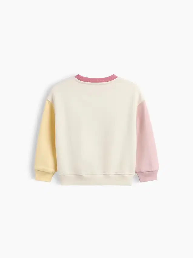 Bebek & Yürümeye Başlayan Çocuk Vintagesoft Renk Bloklu Sweatshirt