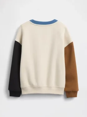 Bebek & Yürümeye Başlayan Çocuk Vintagesoft Renk Bloklu Sweatshirt