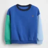 Bebek & Yürümeye Başlayan Çocuk Vintagesoft Renk Bloklu Sweatshirt