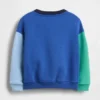 Bebek & Yürümeye Başlayan Çocuk Vintagesoft Renk Bloklu Sweatshirt