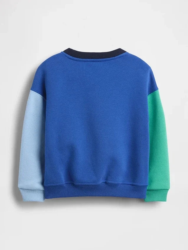 Bebek & Yürümeye Başlayan Çocuk Vintagesoft Renk Bloklu Sweatshirt