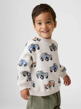 Bebek & Yürümeye Başlayan Çocuk Vintagesoft Sweatshirt