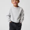Bebek & Yürümeye Başlayan Çocuk Vintagesoft Sweatshirt
