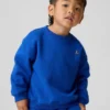 Bebek & Yürümeye Başlayan Çocuk Vintagesoft Sweatshirt