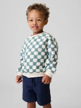 Bebek & Yürümeye Başlayan Çocuk Vintagesoft Sweatshirt