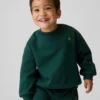 Bebek & Yürümeye Başlayan Çocuk Vintagesoft Sweatshirt