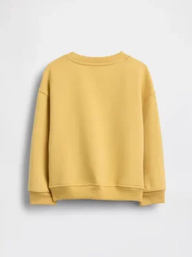 Bebek & Yürümeye Başlayan Çocuk Vintagesoft Sweatshirt