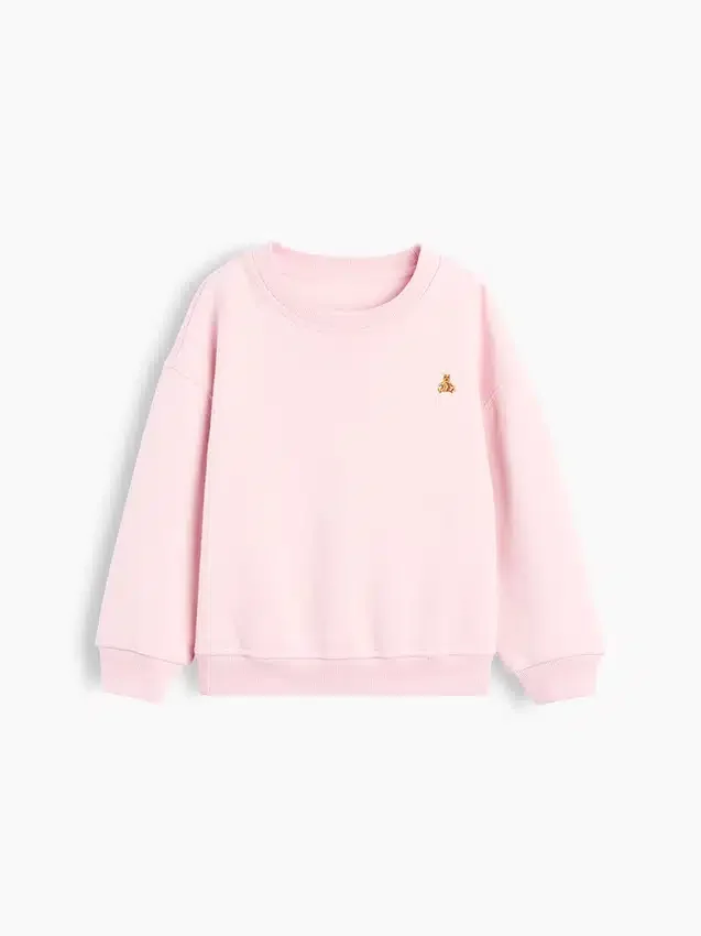 Bebek & Yürümeye Başlayan Çocuk Vintagesoft Sweatshirt