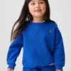 Bebek & Yürümeye Başlayan Çocuk Vintagesoft Sweatshirt
