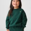 Bebek & Yürümeye Başlayan Çocuk Vintagesoft Sweatshirt