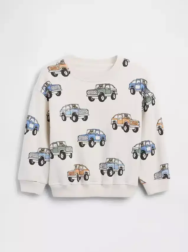 Bebek & Yürümeye Başlayan Çocuk Vintagesoft Sweatshirt