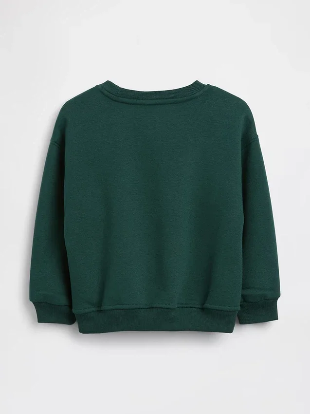 Bebek & Yürümeye Başlayan Çocuk Vintagesoft Sweatshirt