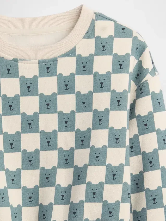 Bebek & Yürümeye Başlayan Çocuk Vintagesoft Sweatshirt