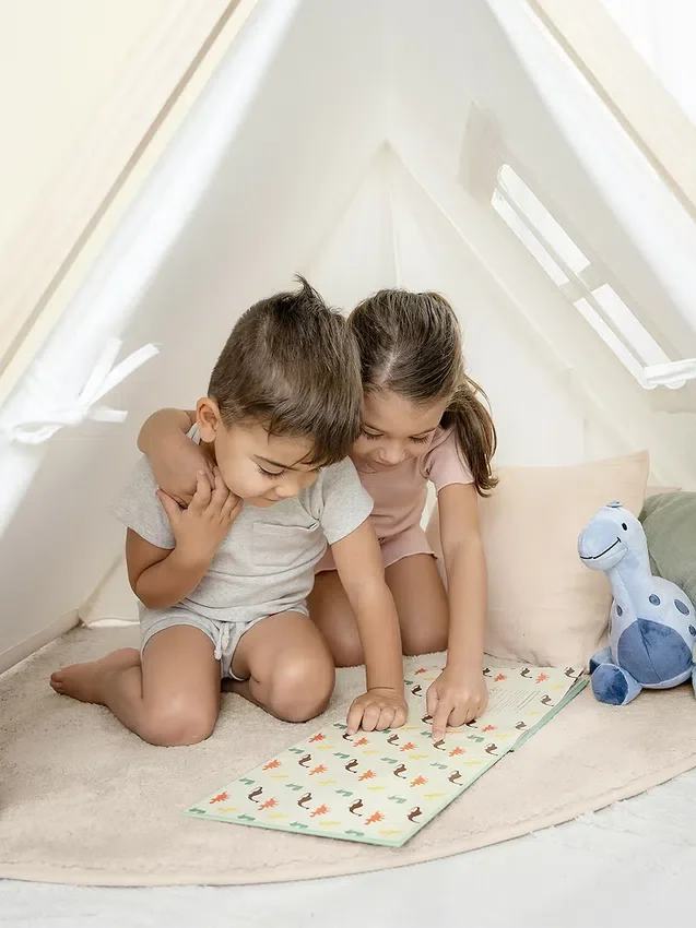 Comfy Cubs İç Mekan Oyun Çadırı