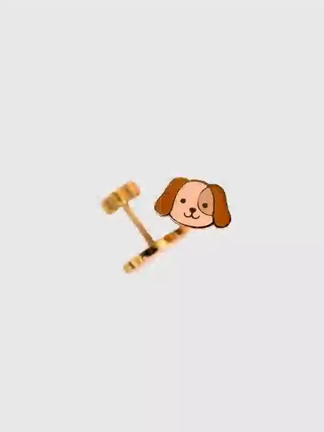 Delikli Köpek Vidalı Küpeler