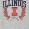 Illinois Üniversitesi Laurels Koyu Grafik Tişört