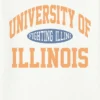 Illinois Üniversitesi Vintage Fighting Illini Grafik Tişört