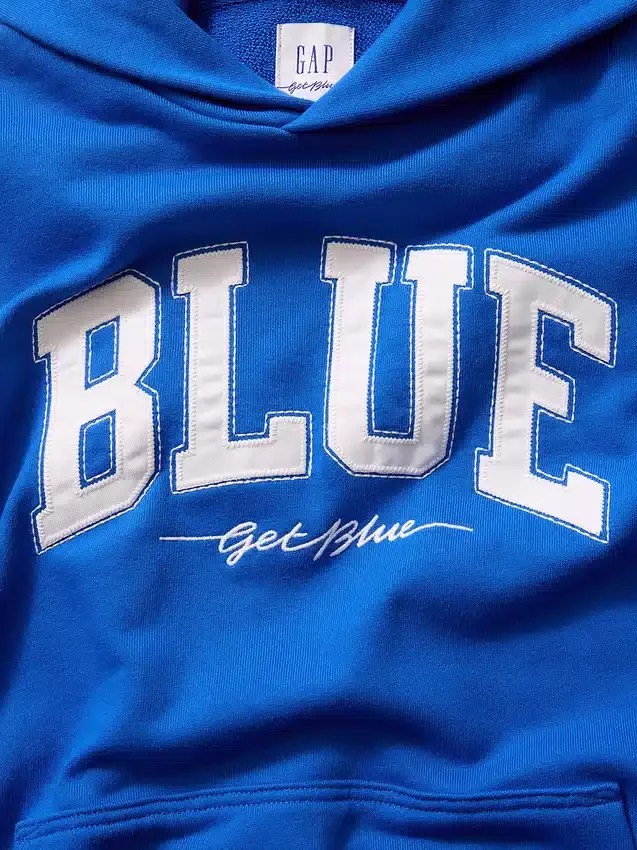 Mavi Ağır Fransız Teri Logolu Kapüşonlu Sweatshirt