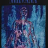 Nirvana Ağır Kumaşlı Kısa Kesim Grafikli Tişört