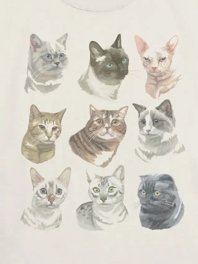 Çocuk Kedi Yüzleri Grafik Tişört