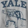Çocuklar için Yale Üniversitesi Grafikli Sweatshirt