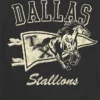 Çocuklar İçin Dallas Stallions Grafikli Tişört