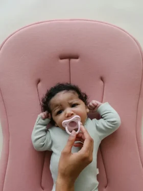 Snuggle Me Bebek Şezlongu Curve