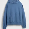 Yetişkin Ağır Kaliteli Oversized Kapüşonlu Sweatshirt