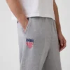 Yetişkin Team USA Ağır Kaliteli Eşofman Altı