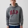 Yetişkin Vintagesoft Arch Logo Kapüşonlu Sweatshirt