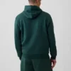 Yetişkin Vintagesoft Arch Logo Kapüşonlu Sweatshirt
