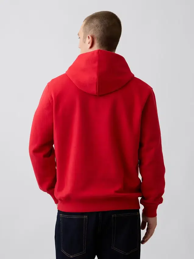 Yetişkin Vintagesoft Arch Logo Kapüşonlu Sweatshirt