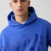 Yetişkin Vintagesoft Nap Logo Kapüşonlu Sweatshirt